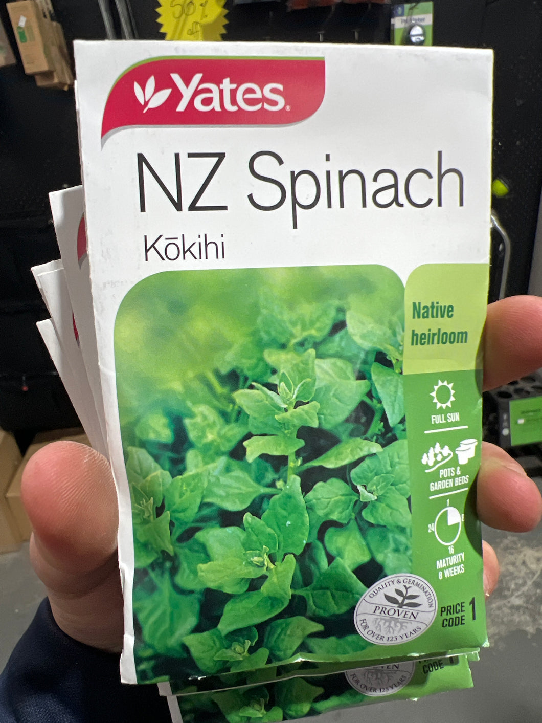 NZ Spinach