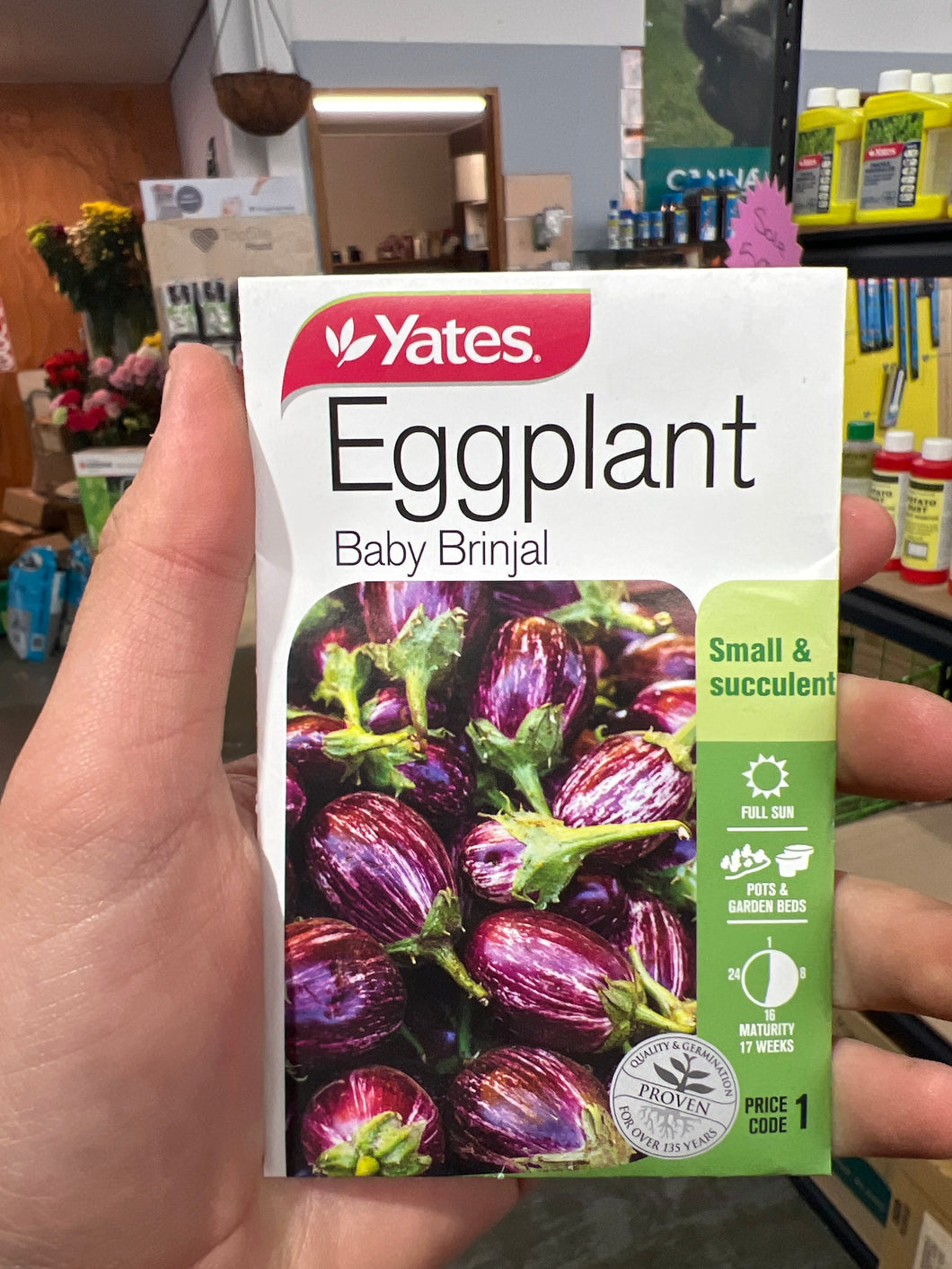 Eggplant