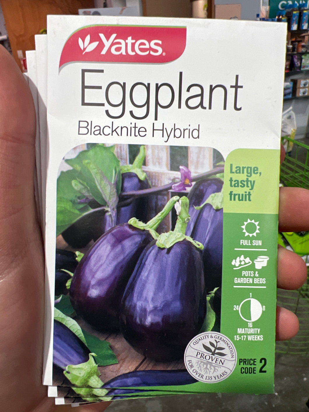 Eggplant