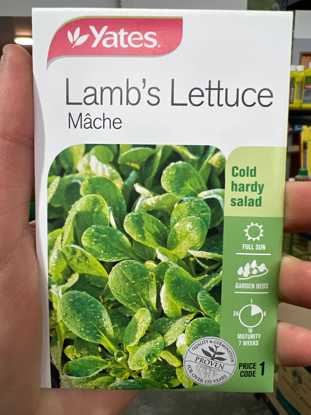 Lamb’s Lettuce