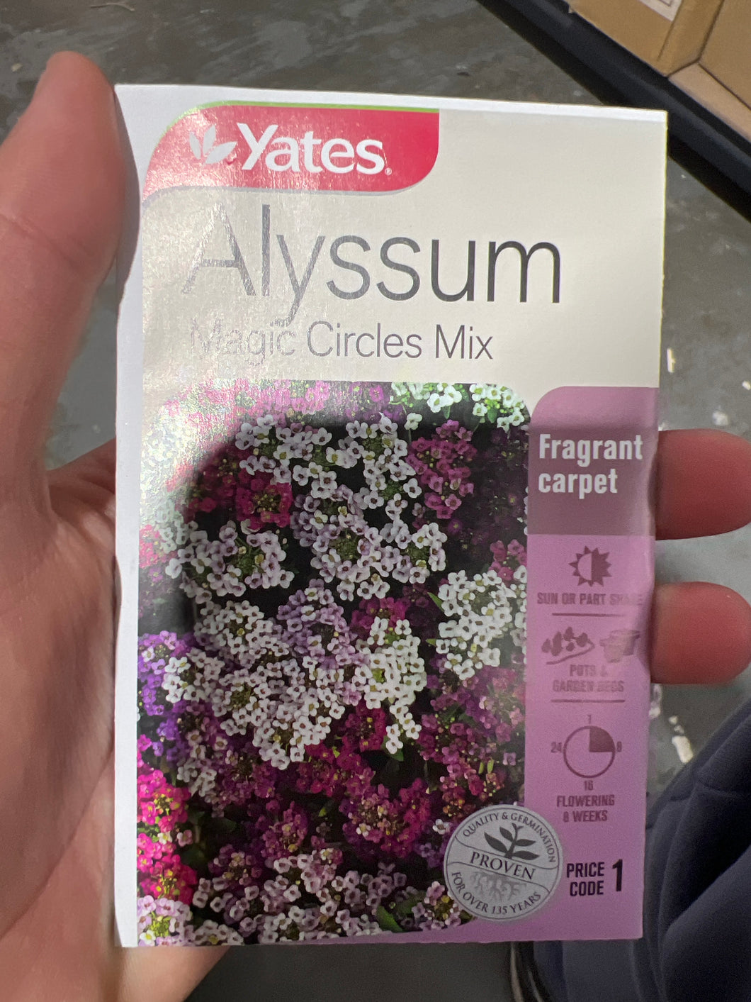 Alyssum