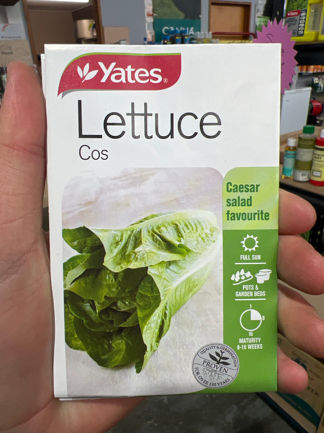 Lettuce