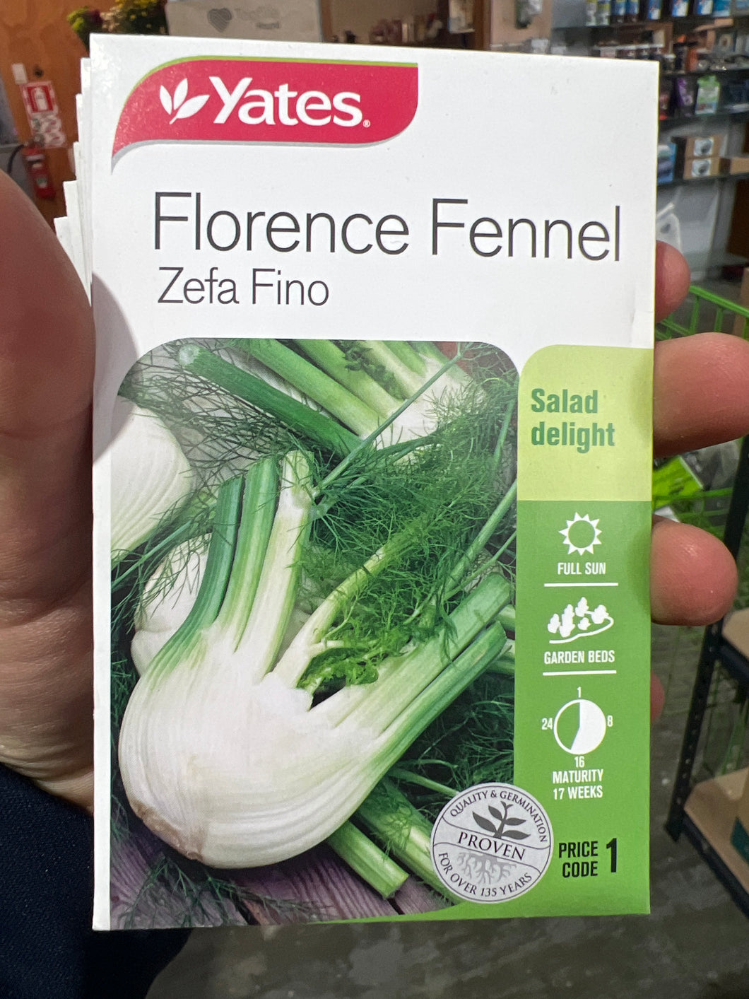 Florence Fennel