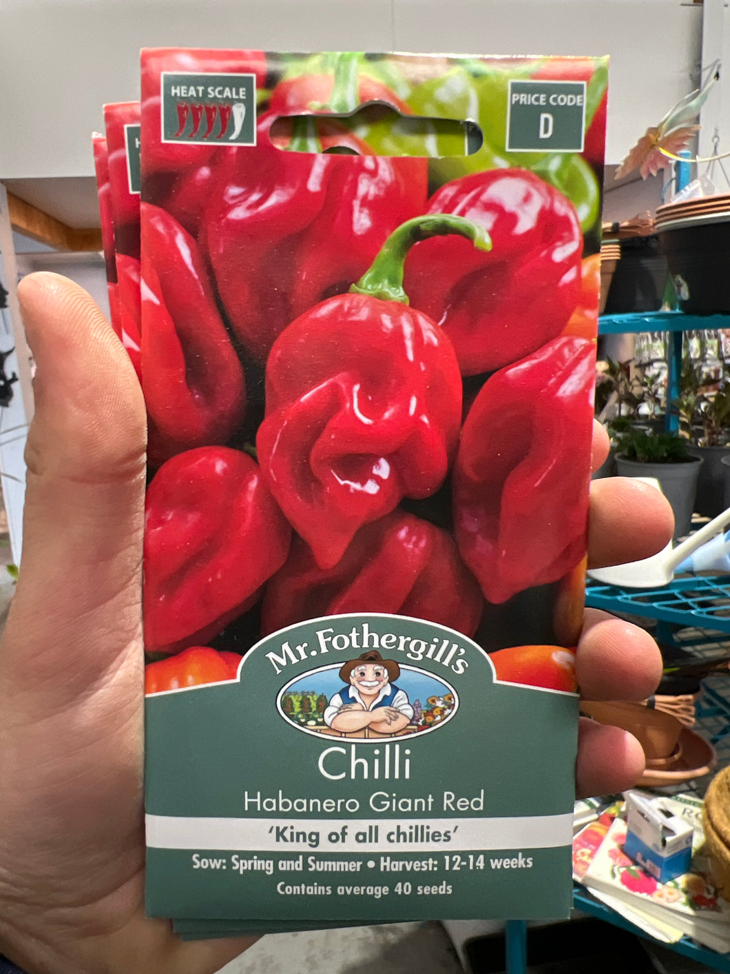 Chilli