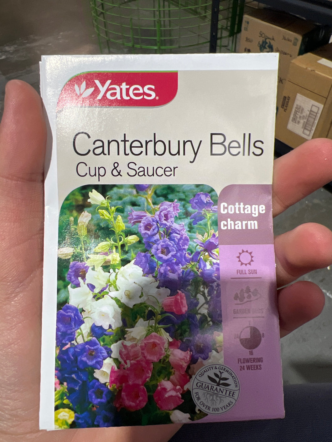 Canterbury Bells