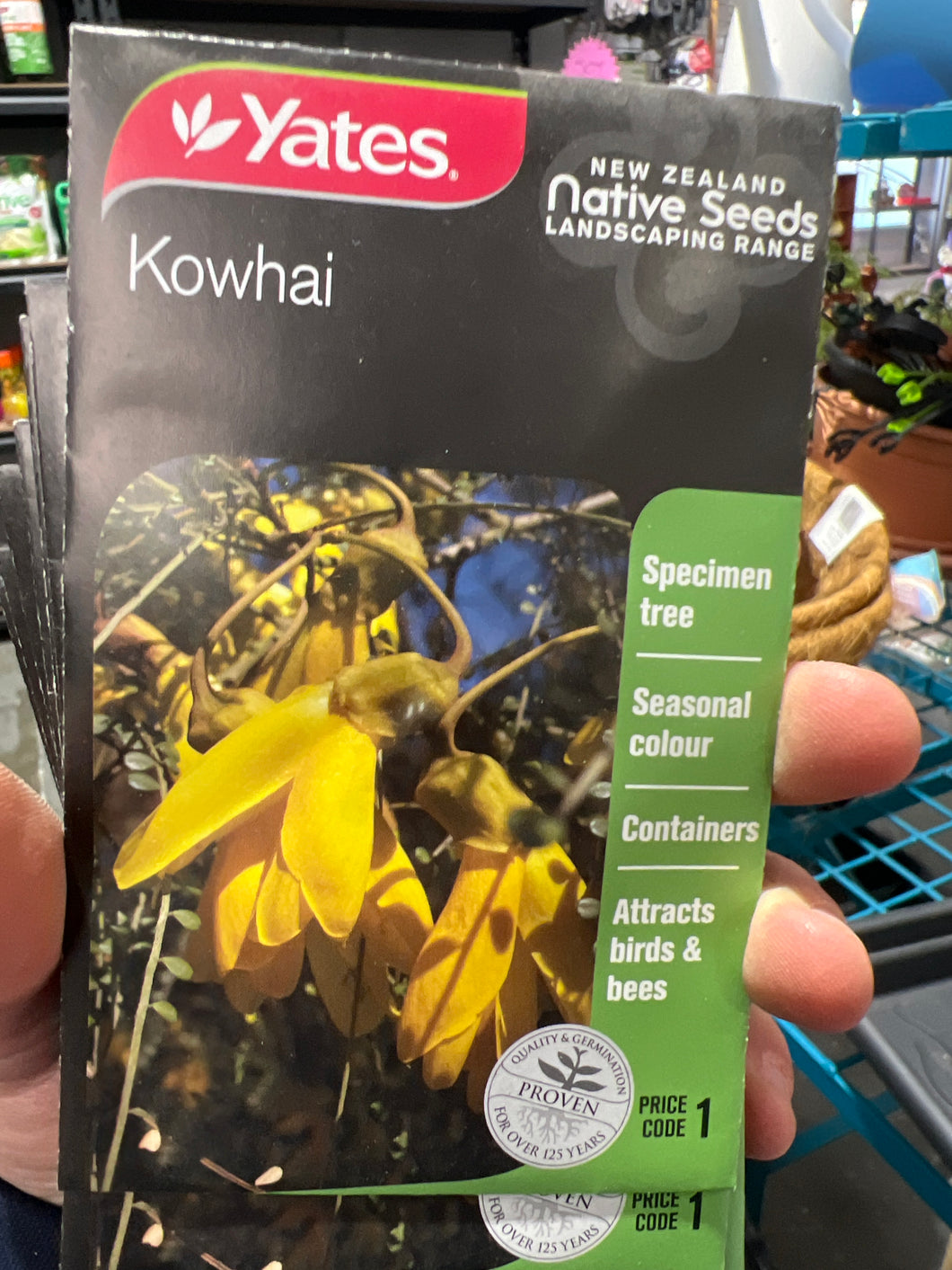 Kowhai