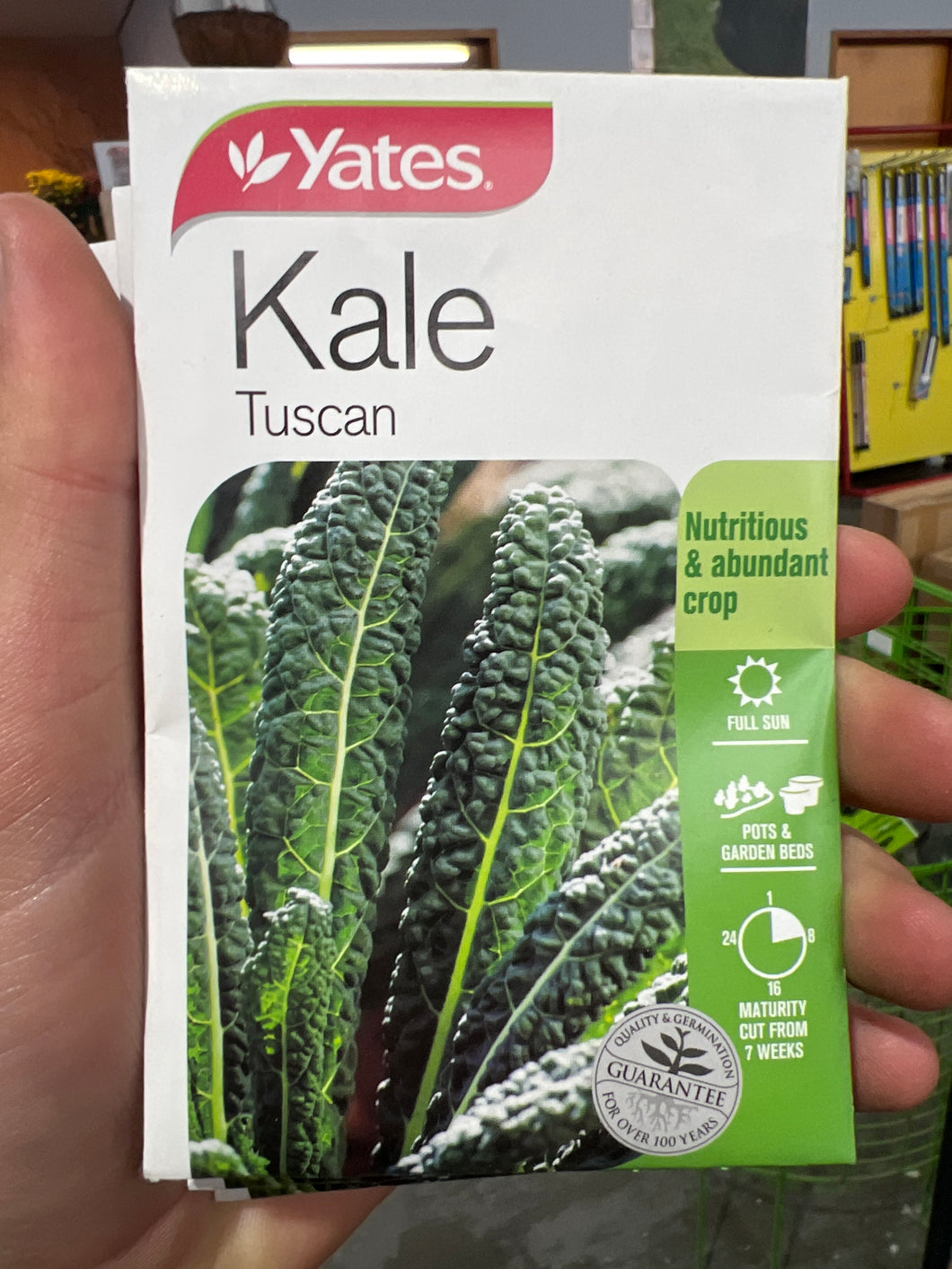 Kale