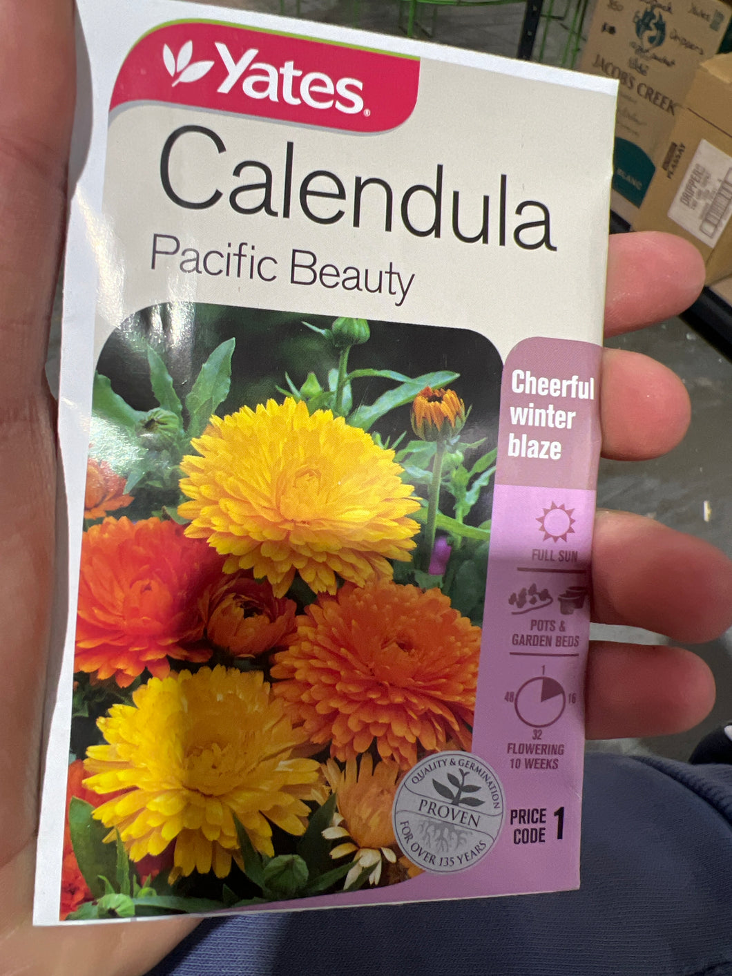 Calendula