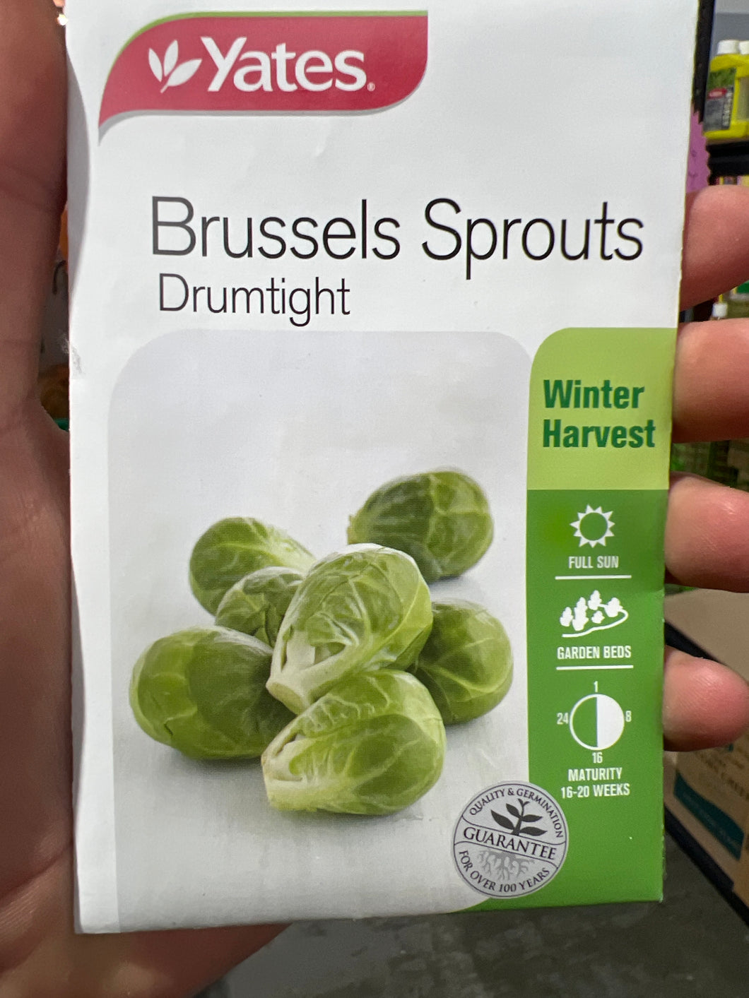 Brussels Sprouts