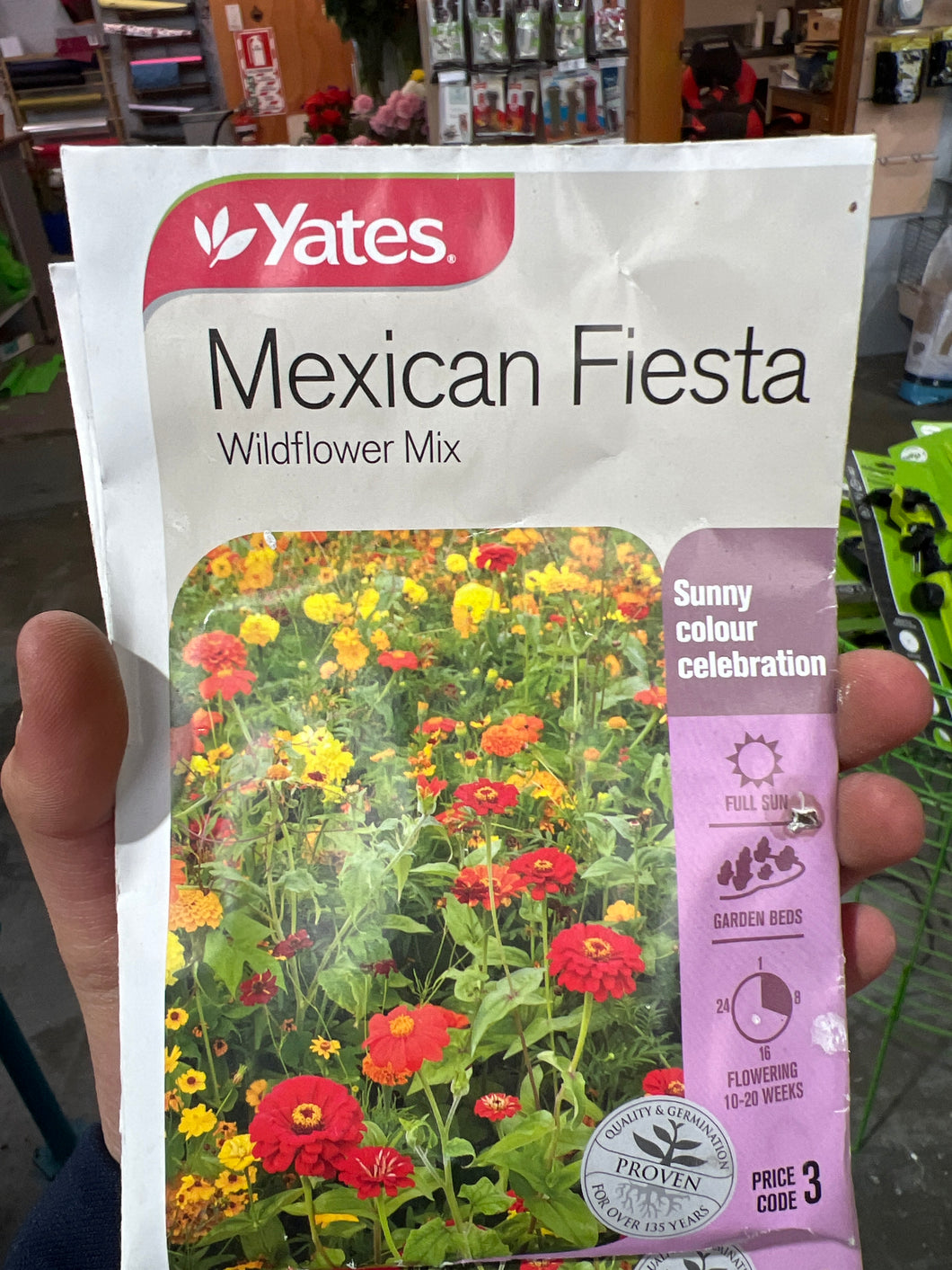 Mexican Fiesta