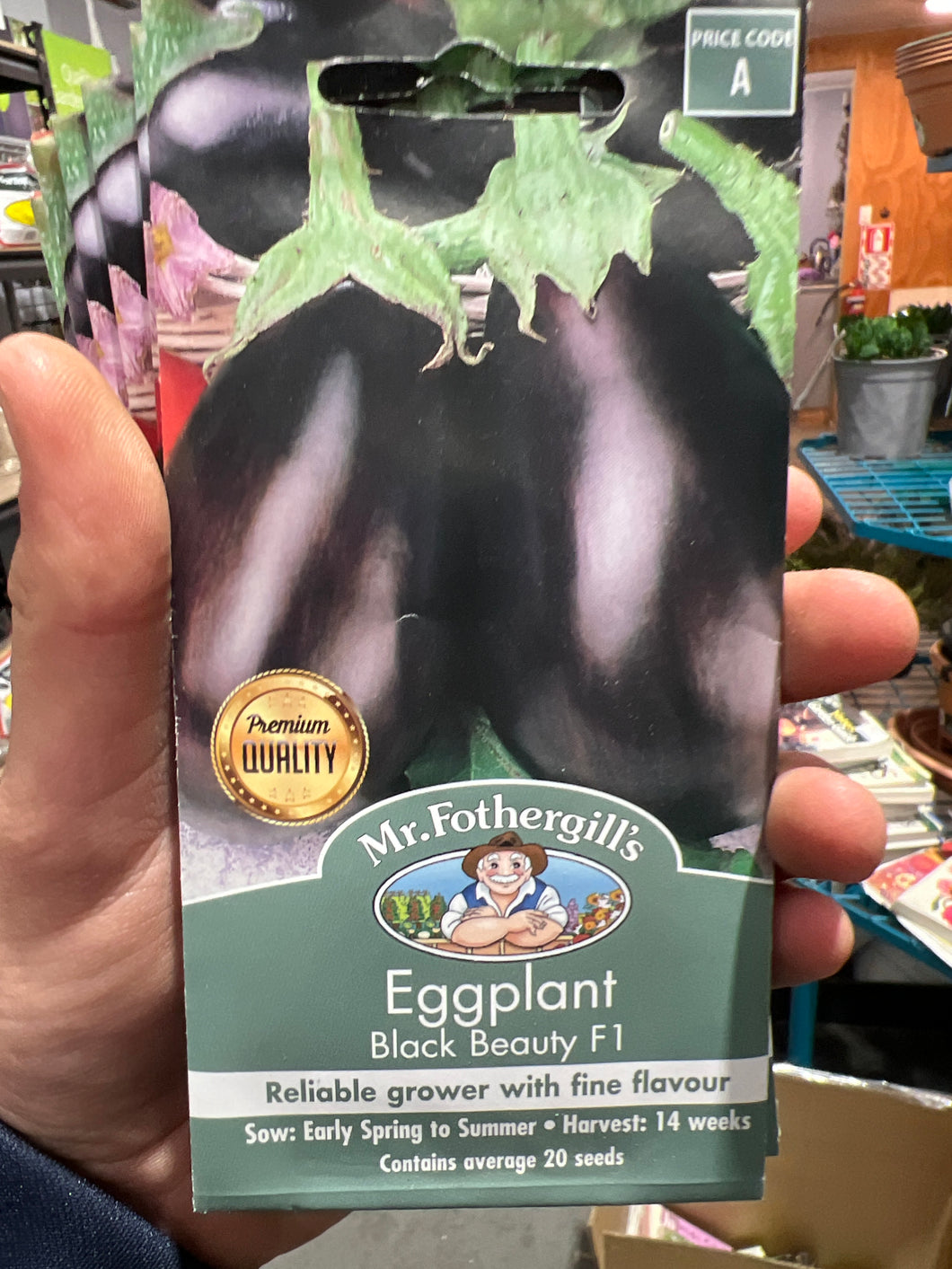 Eggplant