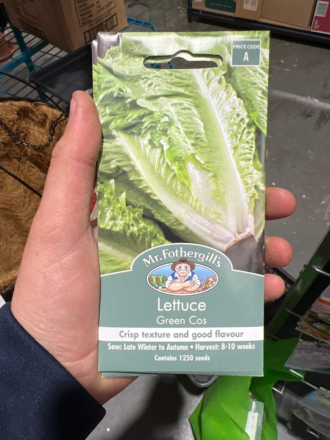 Lettuce