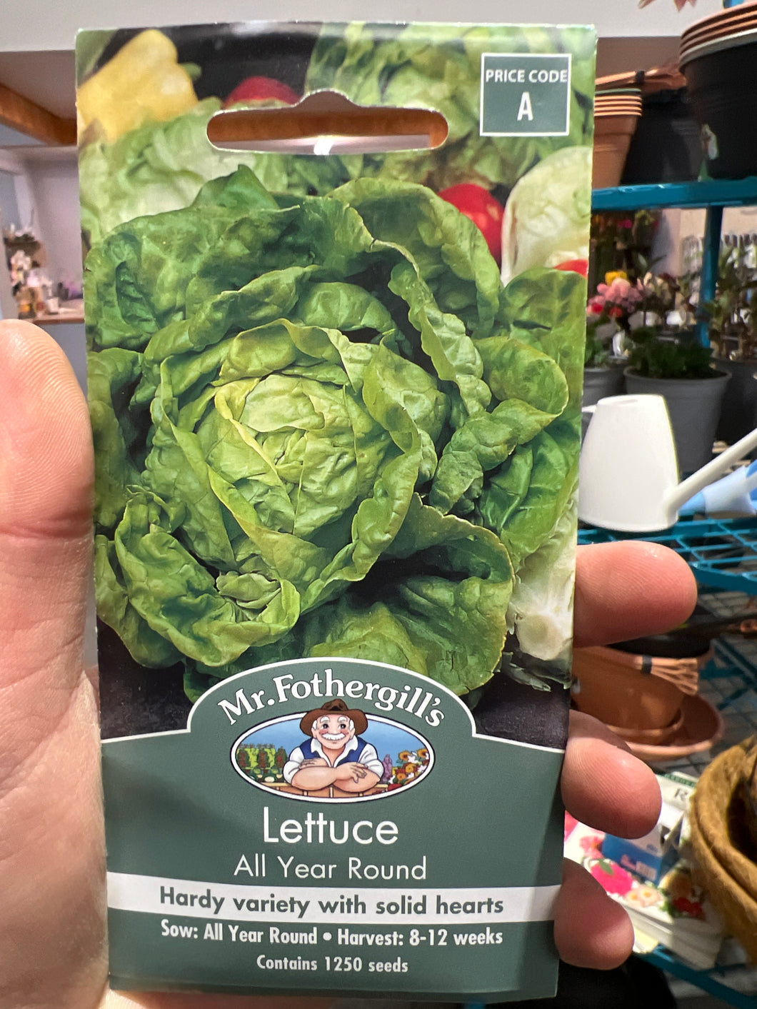 Lettuce