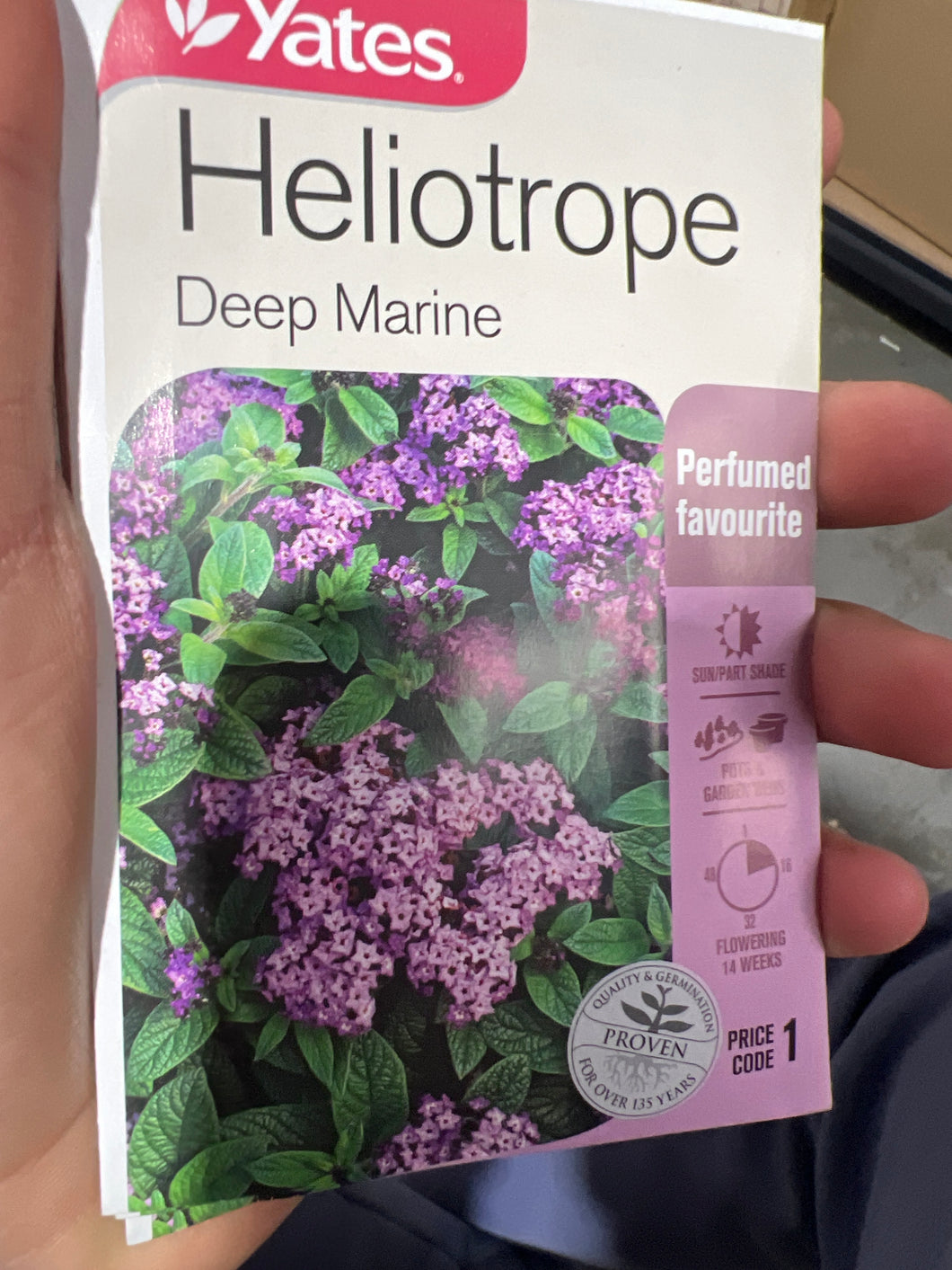 Heliotrope