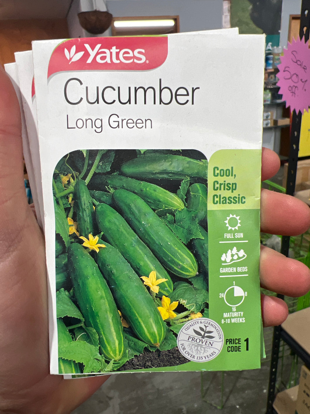 Cucumber