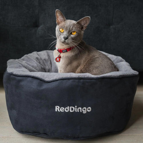 Red Dingo Cat Bed