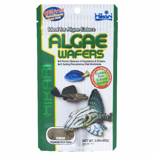 Hikari Tropical Algae Wafer sinking fish food for plecostomus and algae-eating fish with spirulina and chlorella