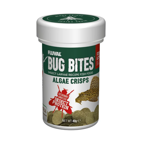 Bug Bites Algae Crisps fish food, designed for plecos and ancistrus, rich in Black Soldier Fly larvae and plant-based proteins